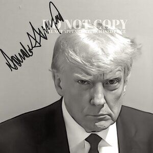 Donald Trump Mugshot Photograph 11 X 11 - Rare 2023 Mug Shot Photo - Poster Art